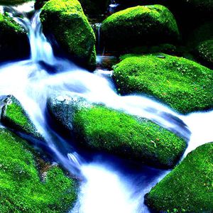 chinese老汉嫖妓2023
